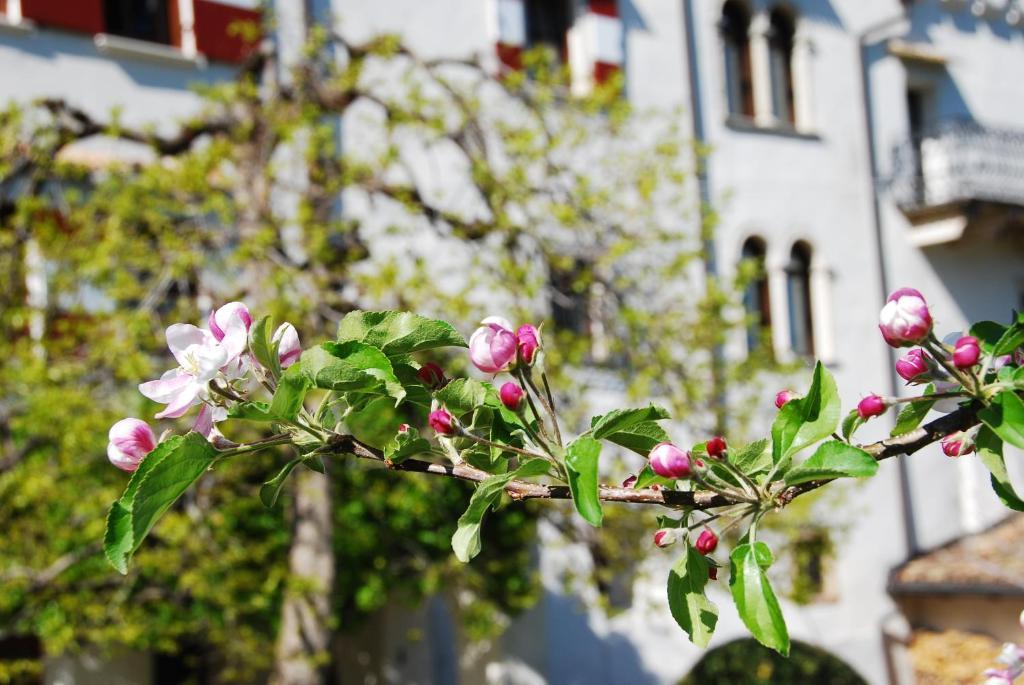 Apartments Schloss Paschbach Appiano Sulla Strada Del Vino Dış mekan fotoğraf
