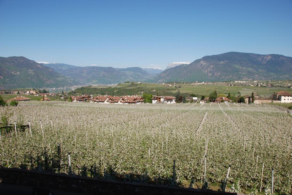Apartments Schloss Paschbach Appiano Sulla Strada Del Vino Dış mekan fotoğraf