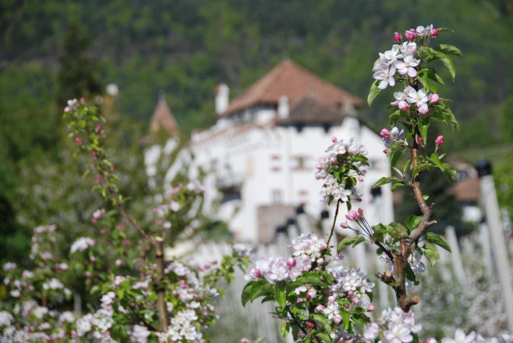 Apartments Schloss Paschbach Appiano Sulla Strada Del Vino Dış mekan fotoğraf