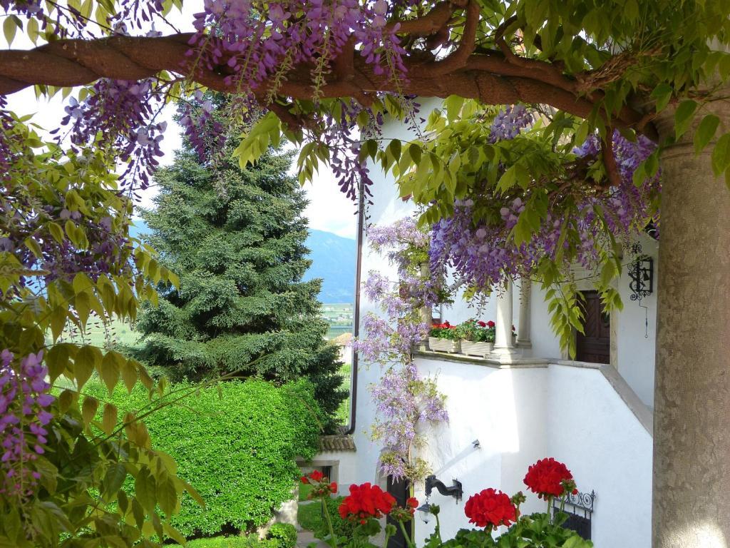 Apartments Schloss Paschbach Appiano Sulla Strada Del Vino Dış mekan fotoğraf